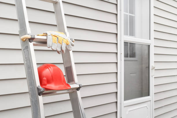 Best Siding Removal and Disposal  in Tecumseh, MI