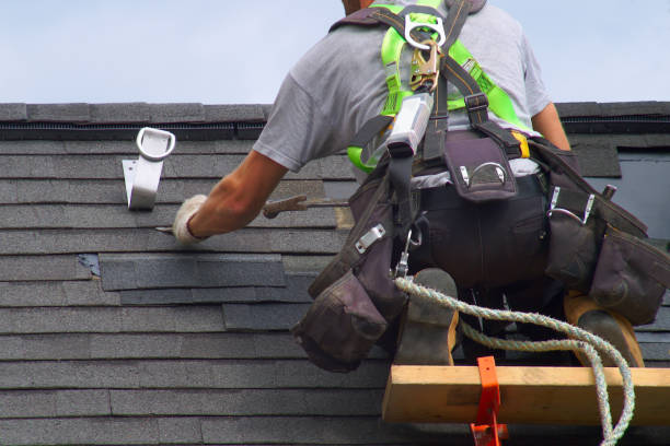 Best Custom Trim and Detailing for Siding  in Tecumseh, MI