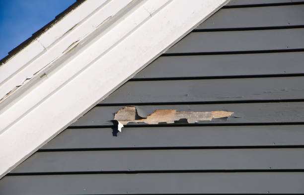 Best Siding Painting and Refinishing  in Tecumseh, MI