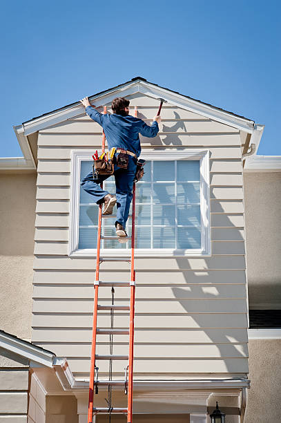 Best Siding Removal and Disposal  in Tecumseh, MI