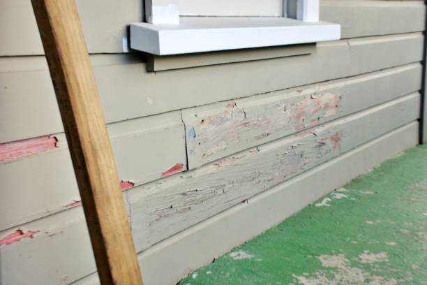 Best Engineered Wood Siding  in Tecumseh, MI