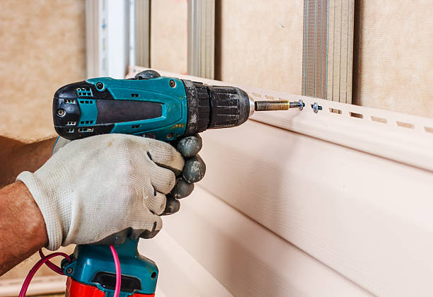 Best Insulated Siding Installation  in Tecumseh, MI